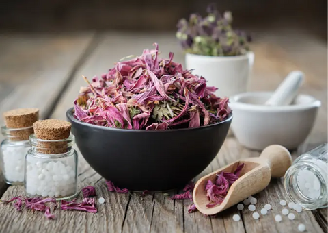 Bottles of homeopathic globules, healthy echinacea flowers and mortars on wooden table.