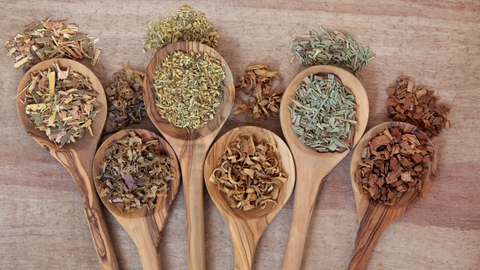 Wooden spoons with medicinal herbs