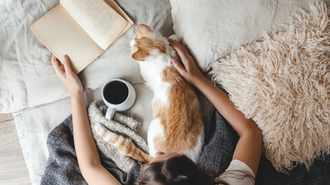 Woman reading a book and petting a cat in her bed