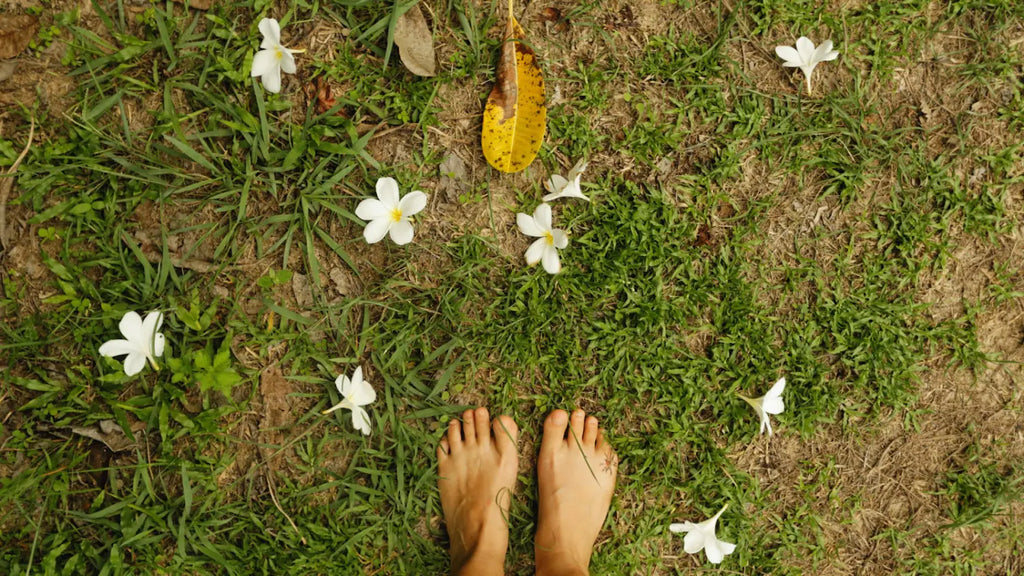 Barefoot feet in grass; grouding practice in nature