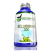 All Natural Organic Belladonna Pills for Relieving Fever 