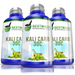 Bestmade Single Remedy Kali Carbonicum for Support