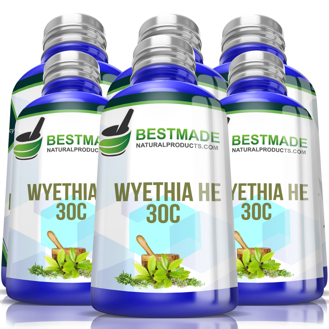 Bestmade Single Remedy Wyethia Helenioides for Throat