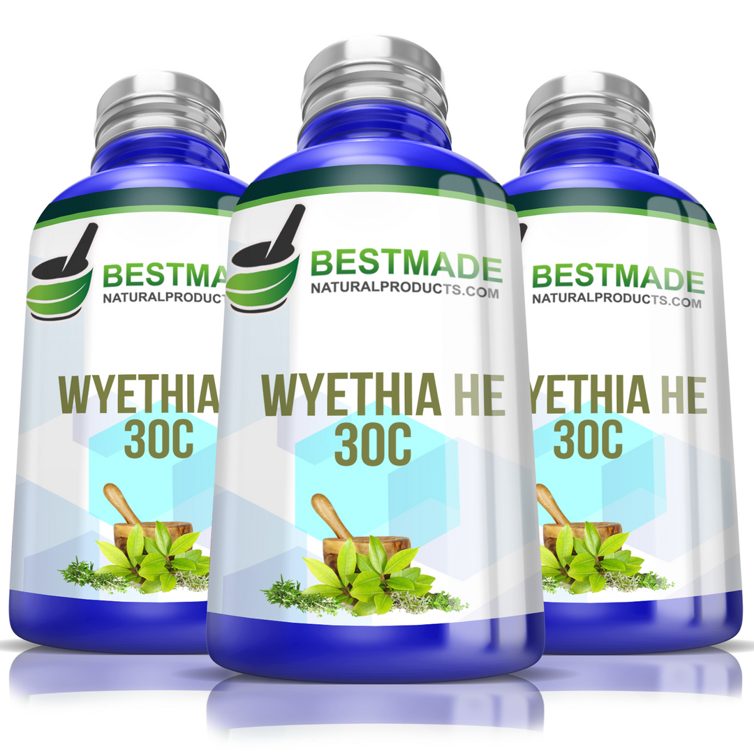 Bestmade Single Remedy Wyethia Helenioides for Throat