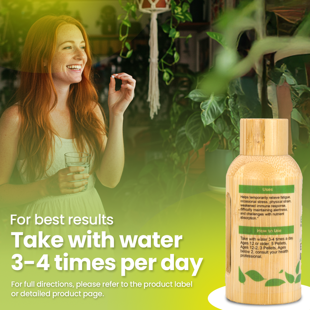 Energy Boost & Nerve Support BIO24 Vegan & Lactose-Free