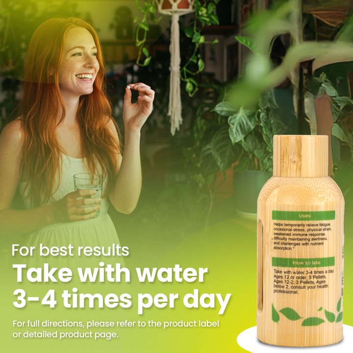 Energy Boost & Nerve Support BIO24 Vegan & Lactose-Free