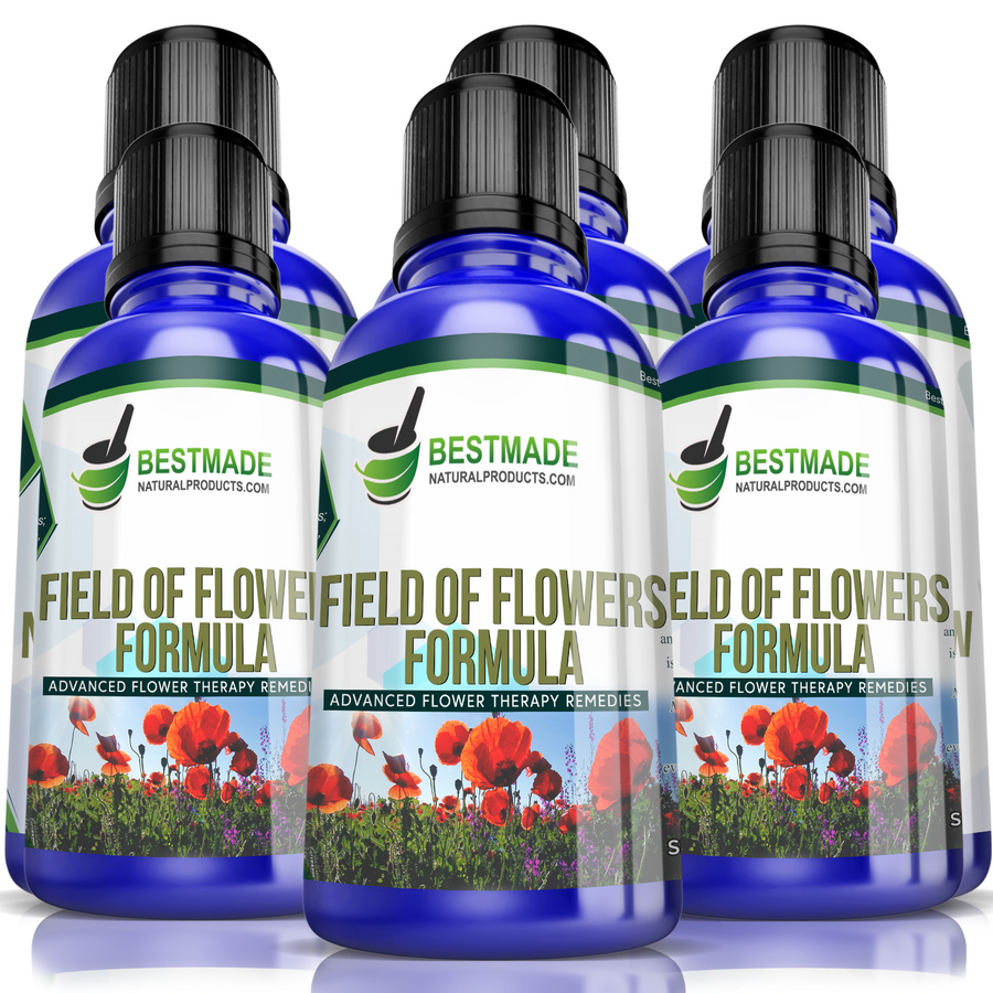 Field of Flowers | Natural Support for Daily Stress