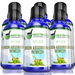 Iron Absorbing Remedy for Anemia (BM208) Six Pack- Save 50%