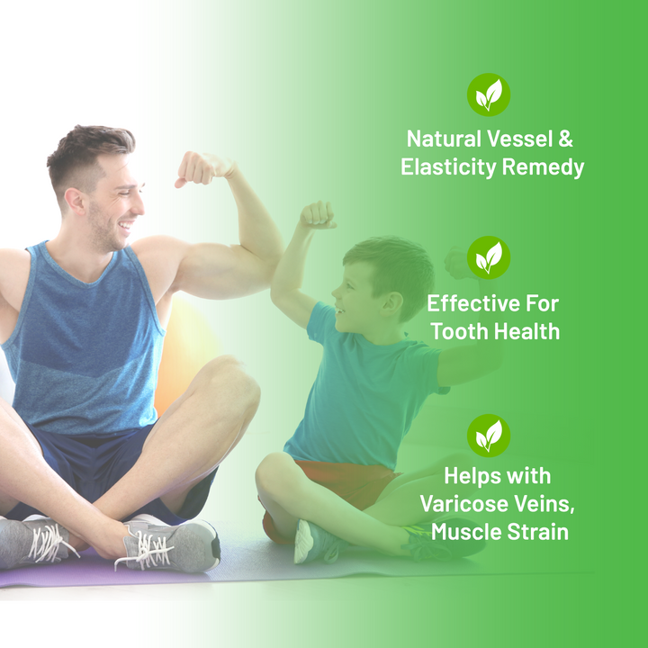 Lactose Free Vessel & Elasticity Remedy 6x - BM Products