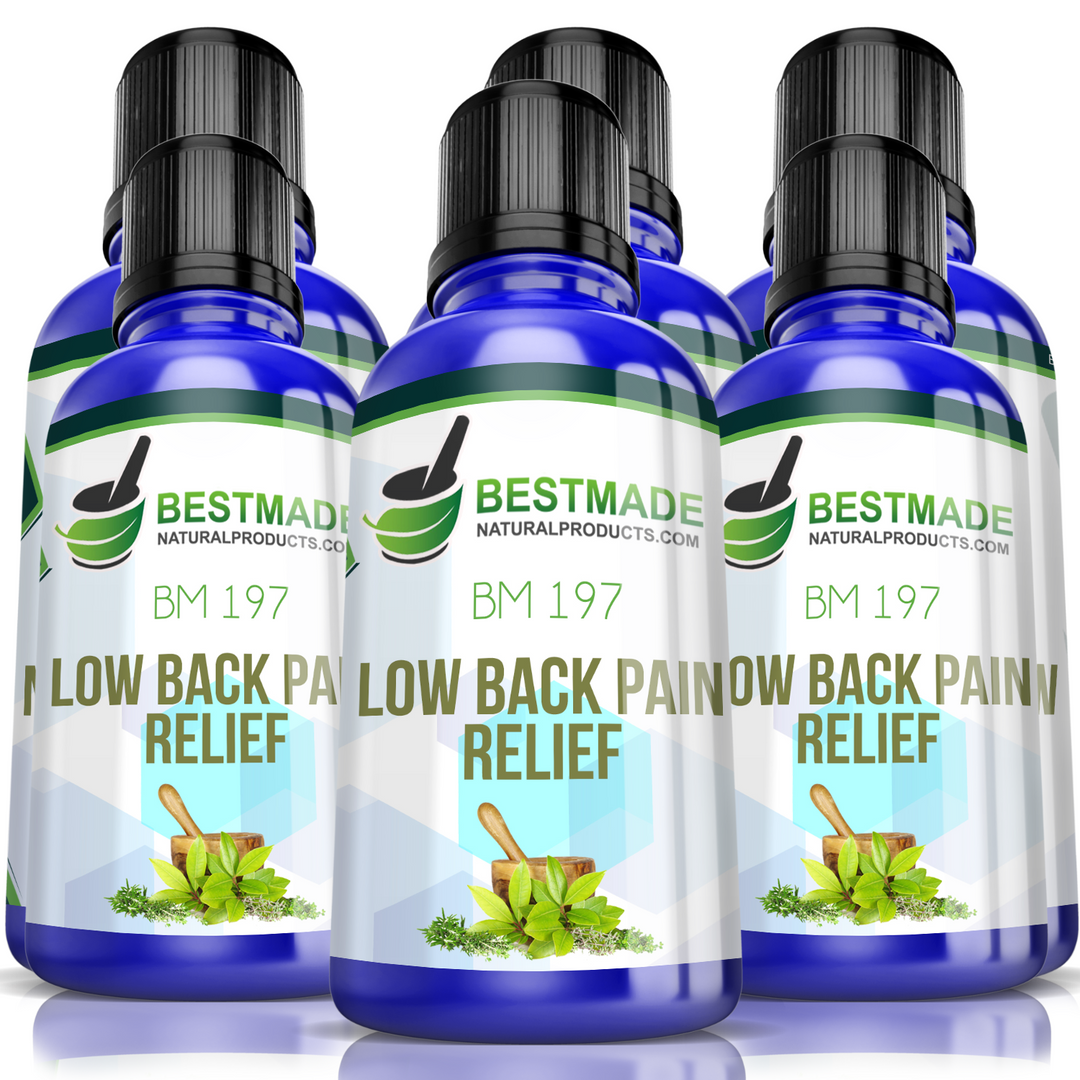 Low Back Pain Support & Muscle Soreness Remedy BM197 Six