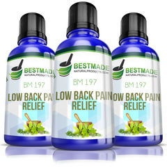 Low Back Pain Support & Muscle Soreness Remedy BM197 Triple Pack- Save 30%