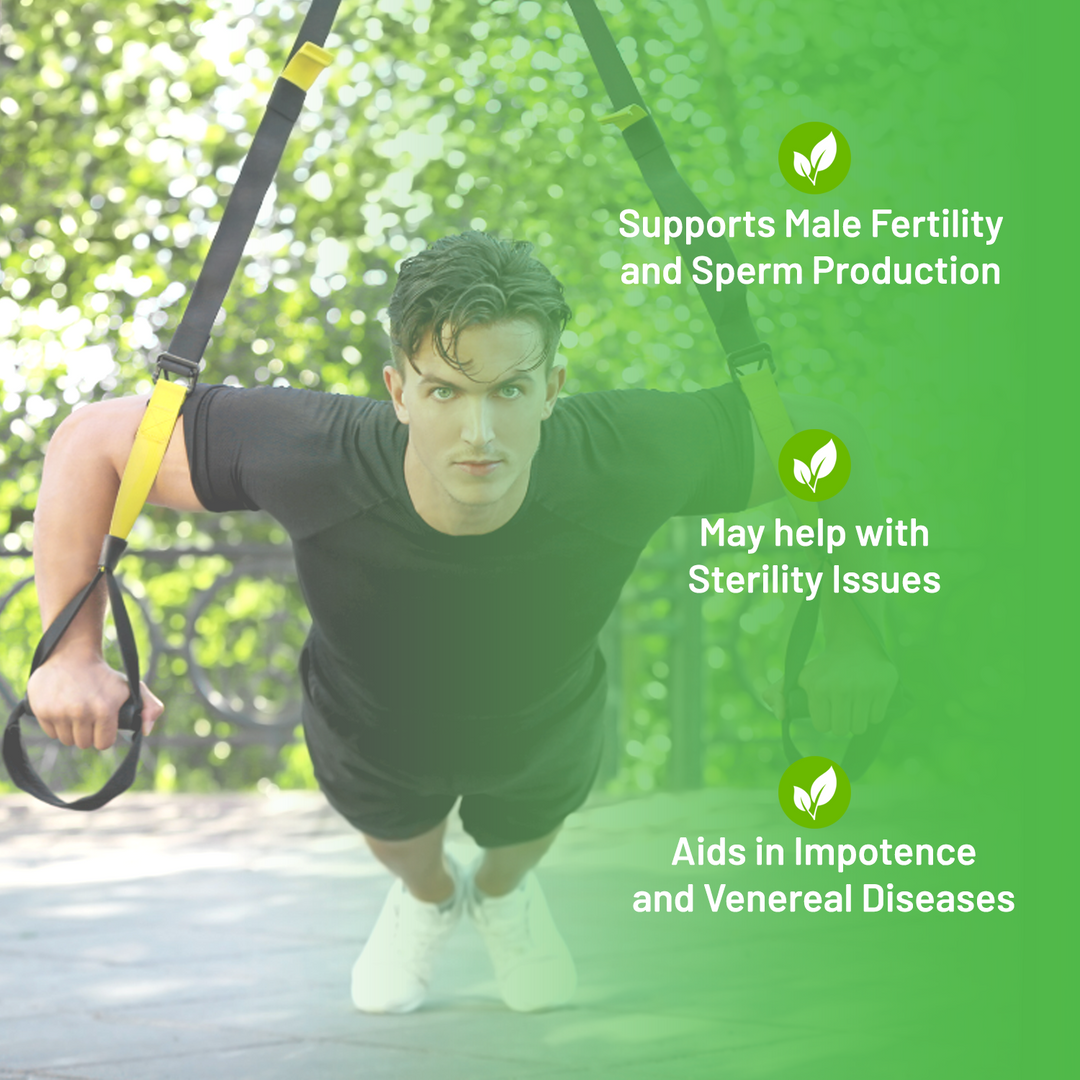 Male Fertility Supplement Natural Remedy (BM84) - Simple