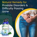 Prostate Disorders & Difficulty Passing Urine Natural