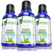 Sciatica Natural Pain Support BM203 (30mL) Triple Pack-