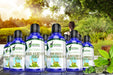 A lifestyle image of the bottles in nature for Tissue Cell Salts Kit - Lactose Free (Liquid)