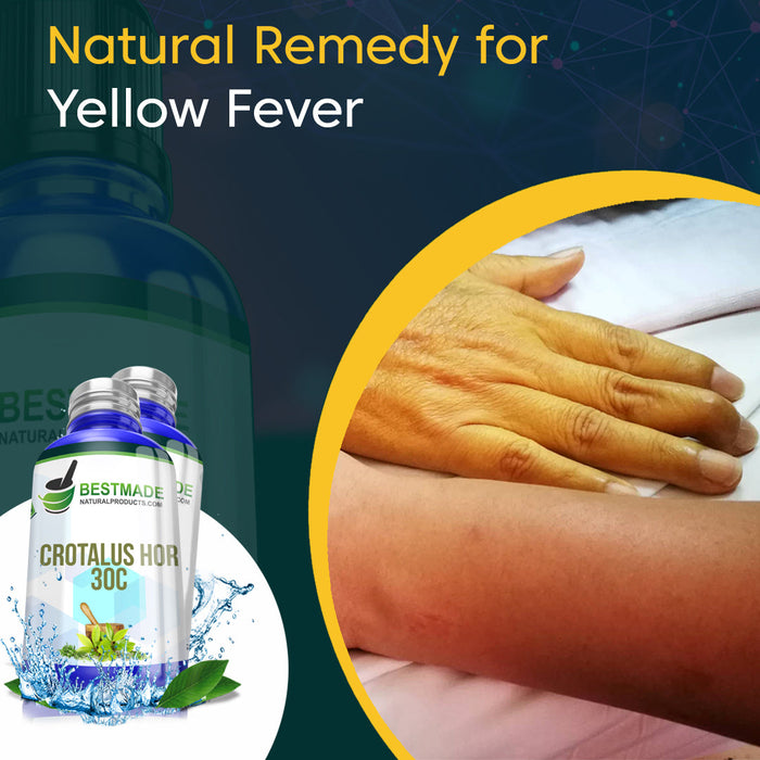 BestMade Natural Crotalus Horridus Pills for Yellow Fever - 