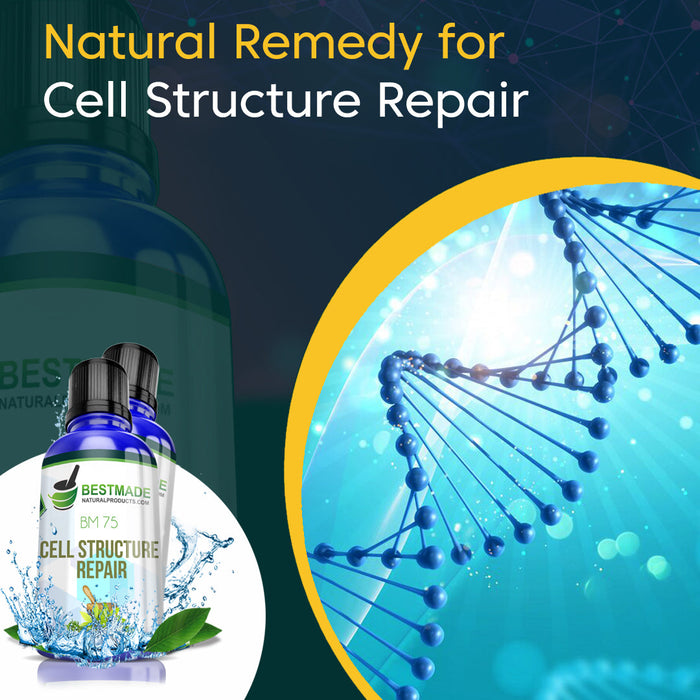 Natural Cell Structure Repair Remedy (BM75) - BM Products