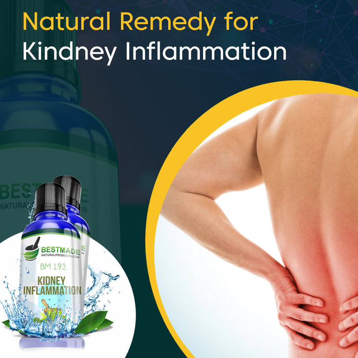 Natural Remedy for Kidney Inflammation (BM193) - BM Products