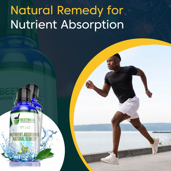 Nutrient Absorption Natural Supplement (BM143) - BM Products